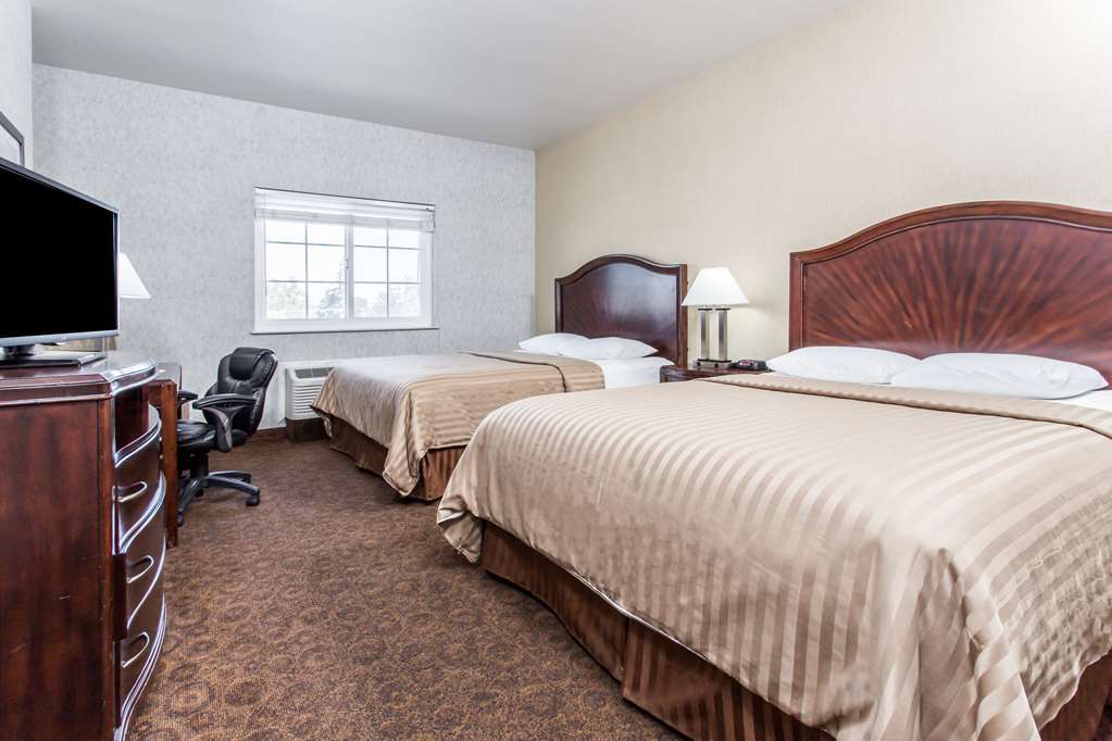 Hotel 1550 San Bruno Room photo